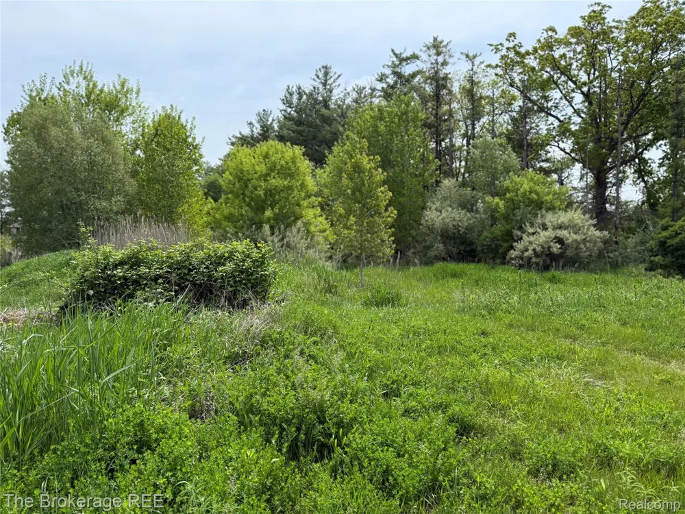 3020 Merwin Road Elba Township, MI 48446
