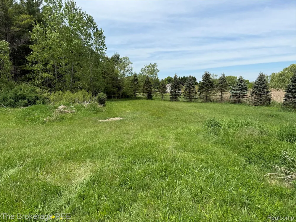 3020 Merwin Road Elba Township, MI 48446