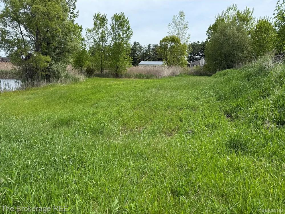 3020 Merwin Road Elba Township, MI 48446