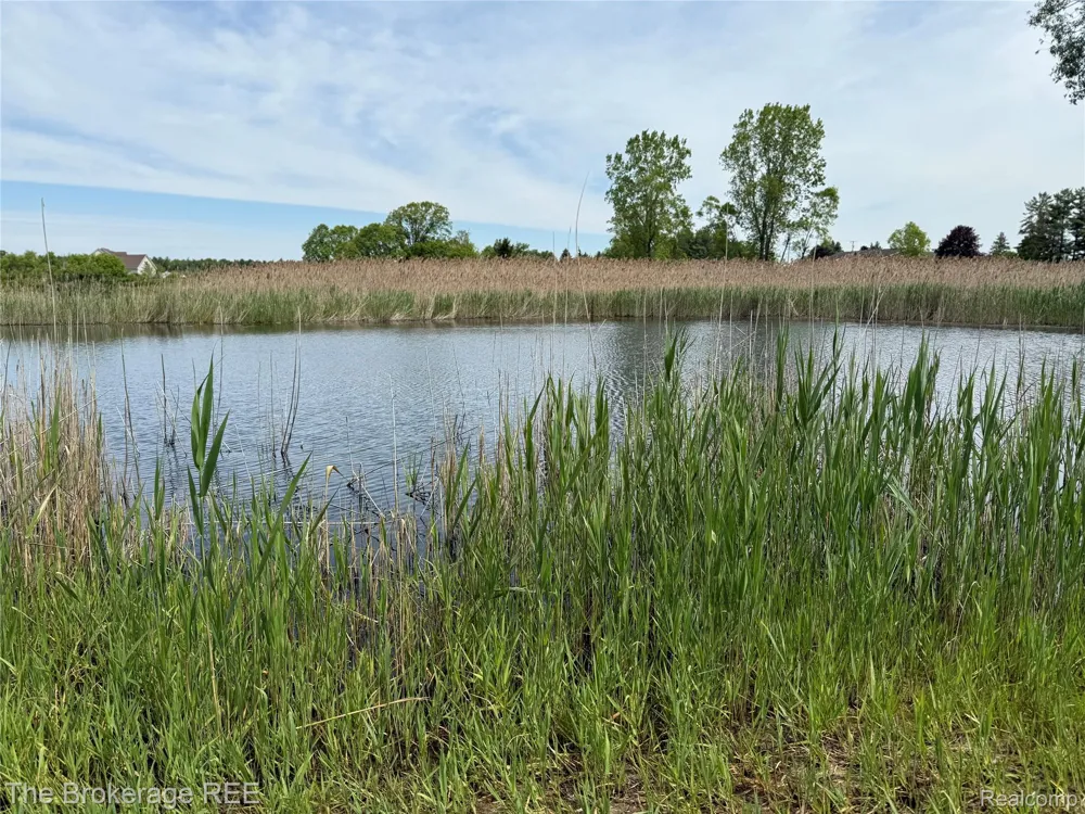 3020 Merwin Road Elba Township, MI 48446