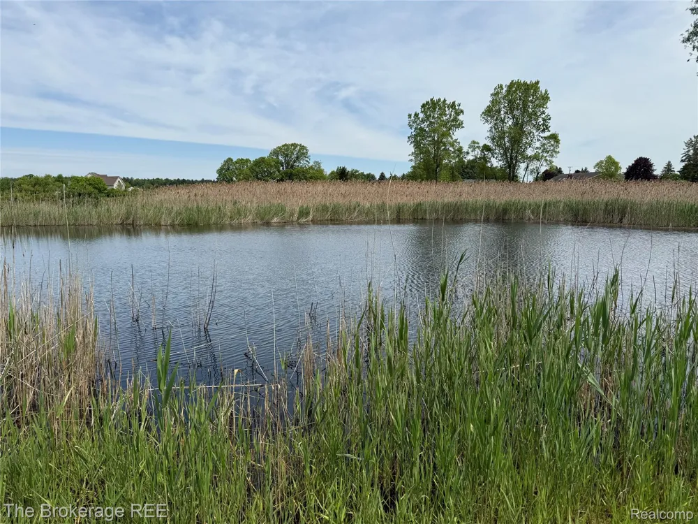 3020 Merwin Road Elba Township, MI 48446