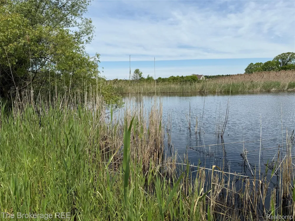 3020 Merwin Road Elba Township, MI 48446