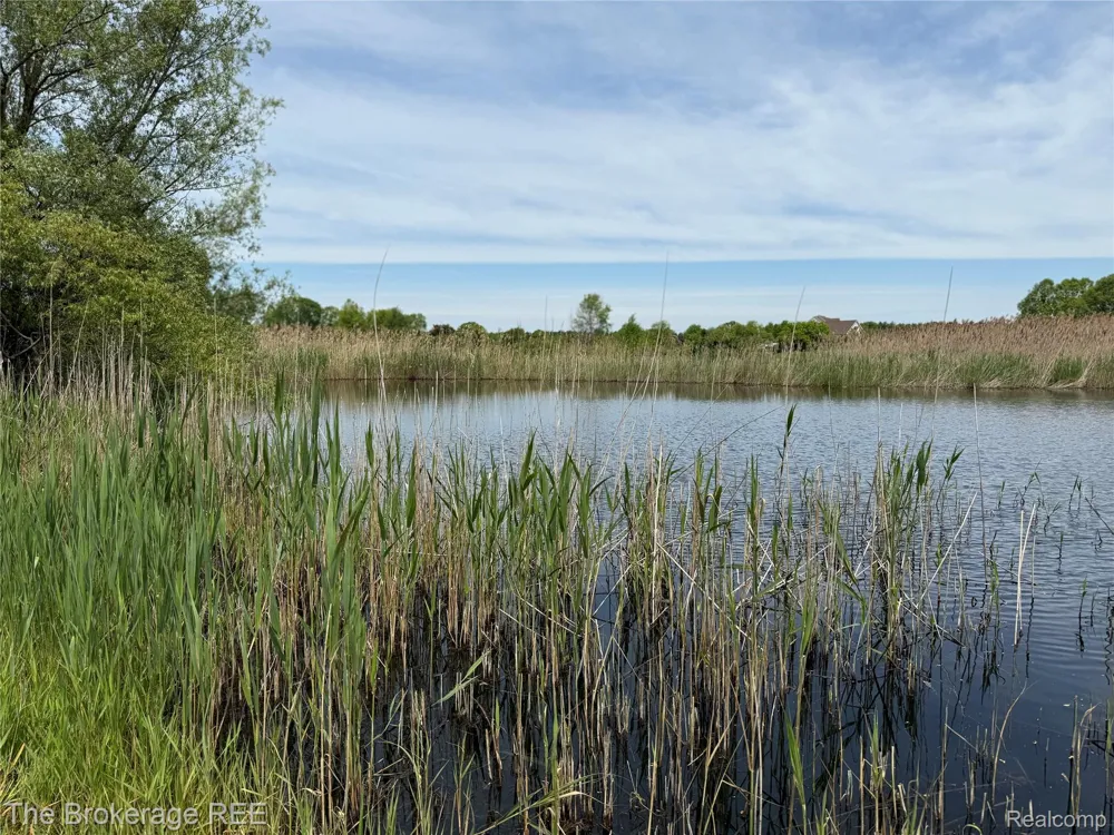 3020 Merwin Road Elba Township, MI 48446