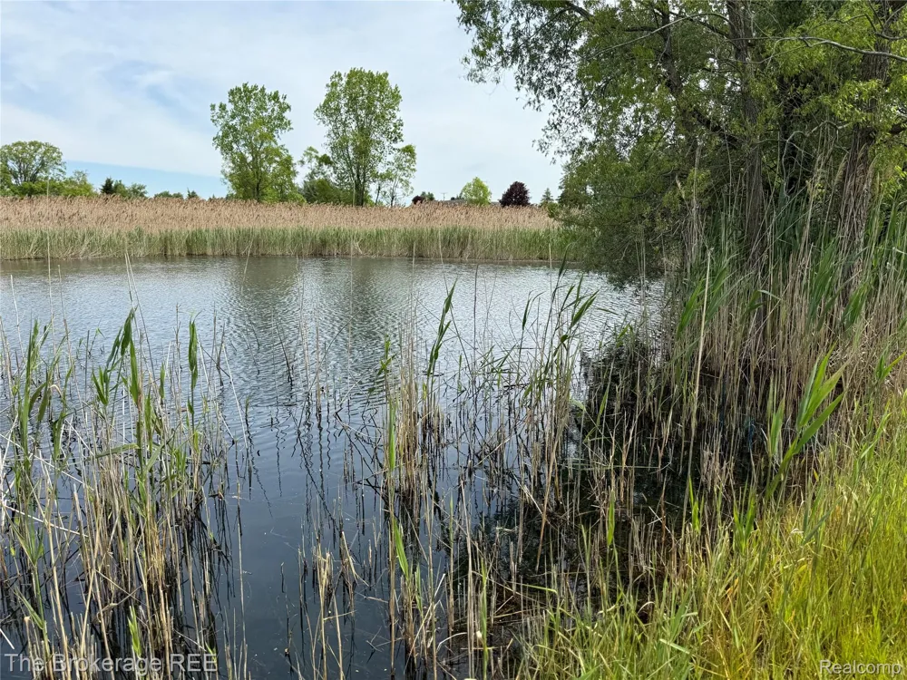 3020 Merwin Road Elba Township, MI 48446