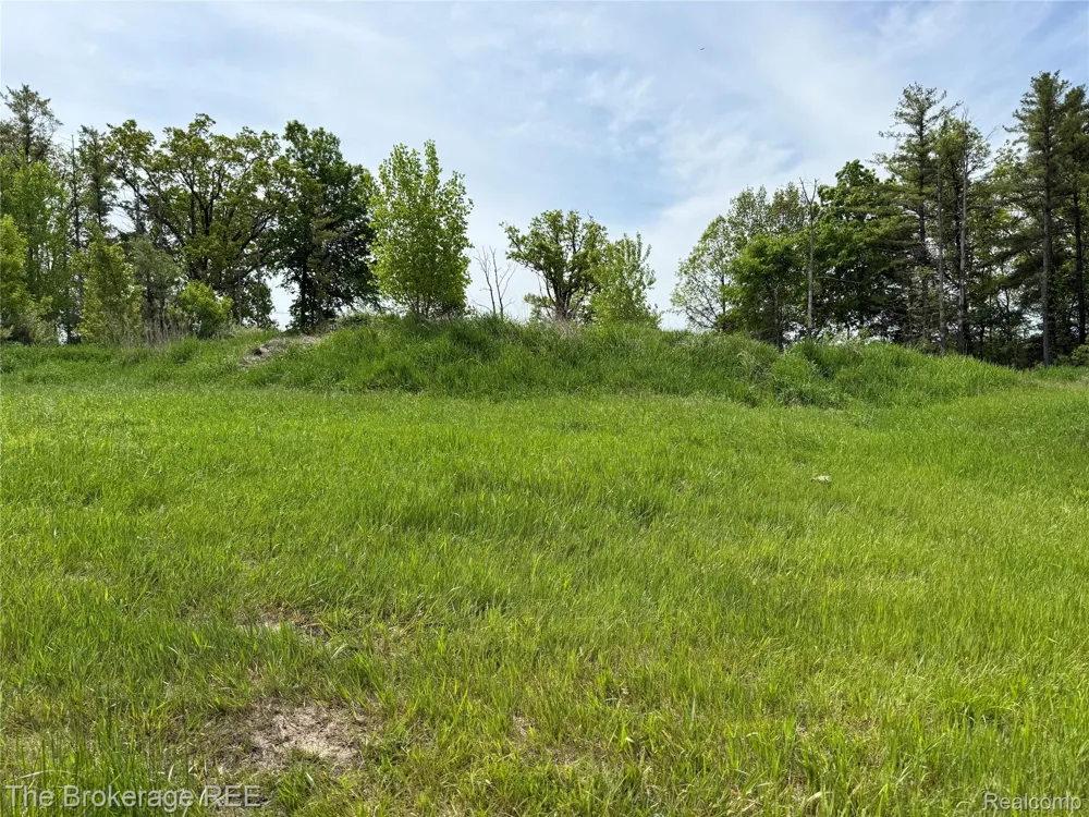 3020 Merwin Road Elba Township, MI 48446