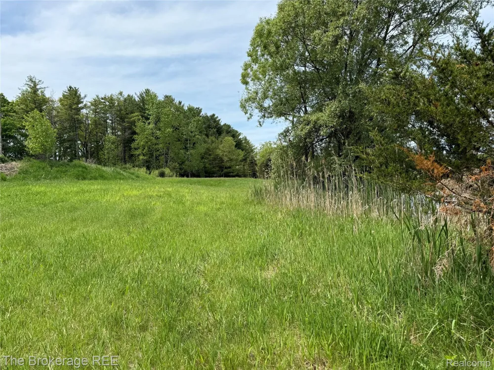 3020 Merwin Road Elba Township, MI 48446