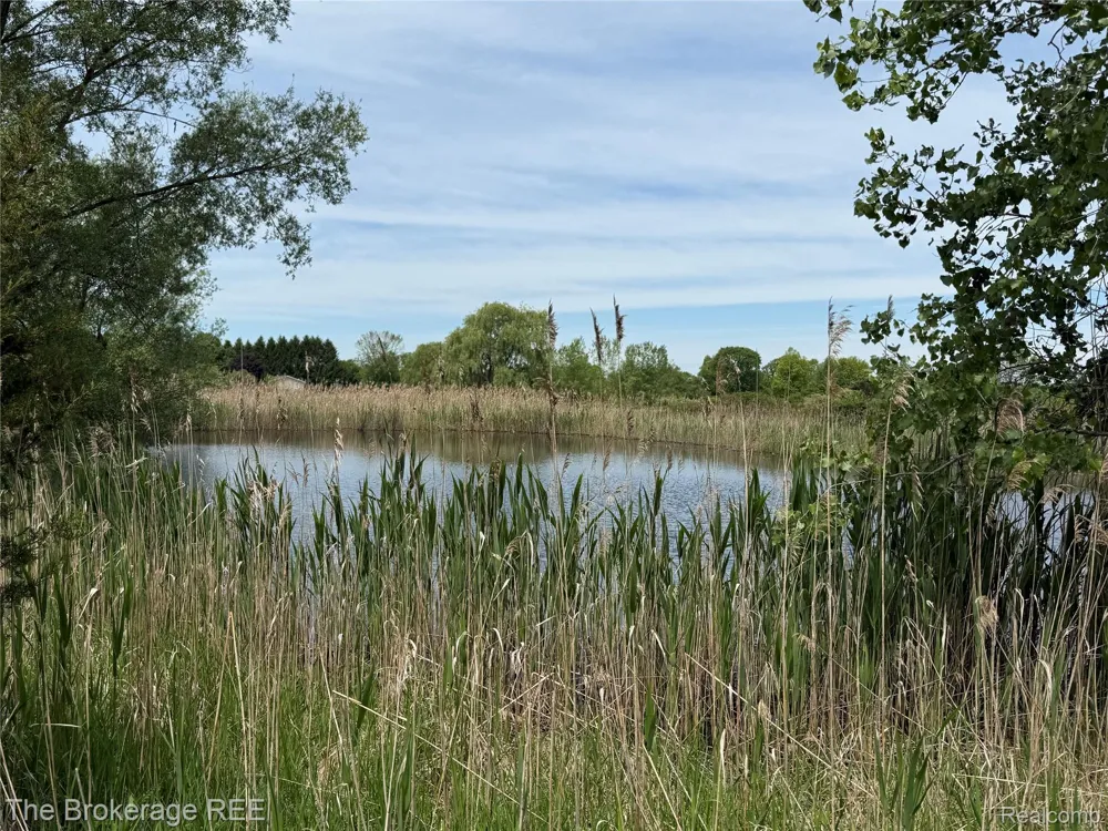 3020 Merwin Road Elba Township, MI 48446