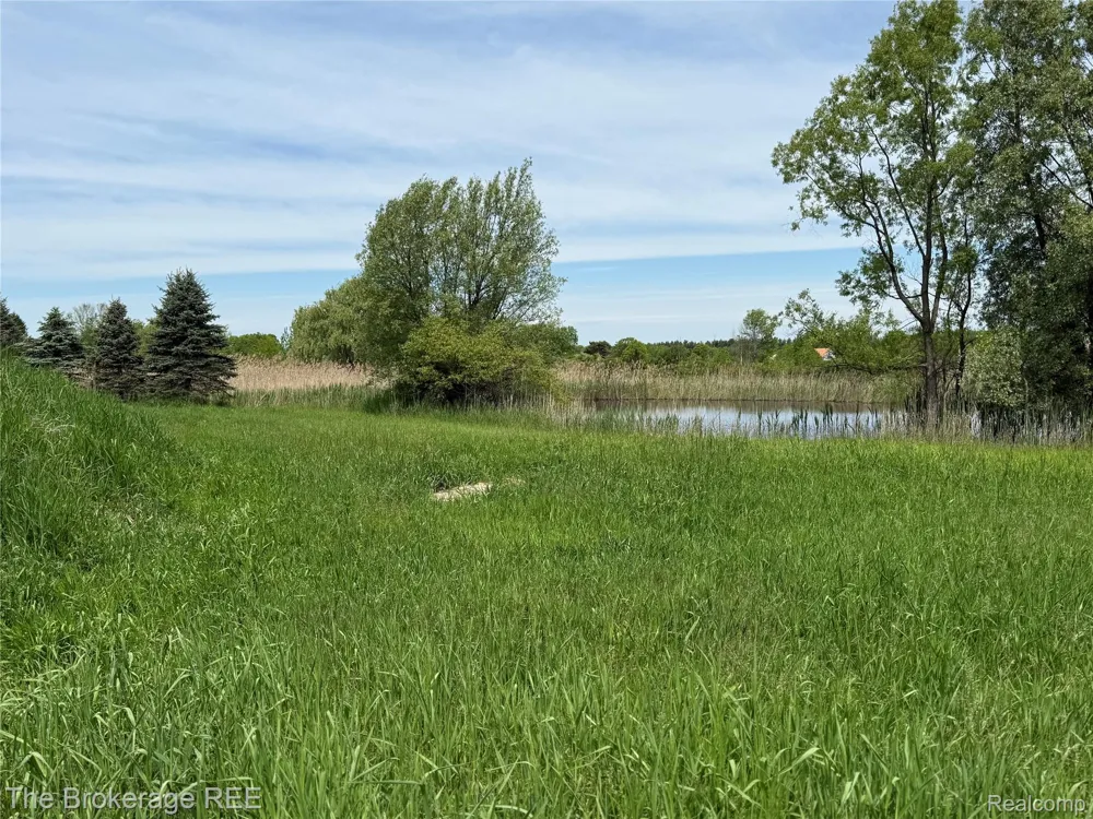 3020 Merwin Road Elba Township, MI 48446