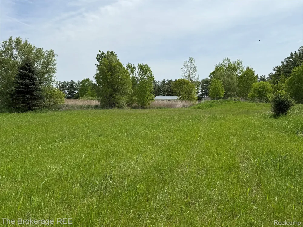 3020 Merwin Road Elba Township, MI 48446