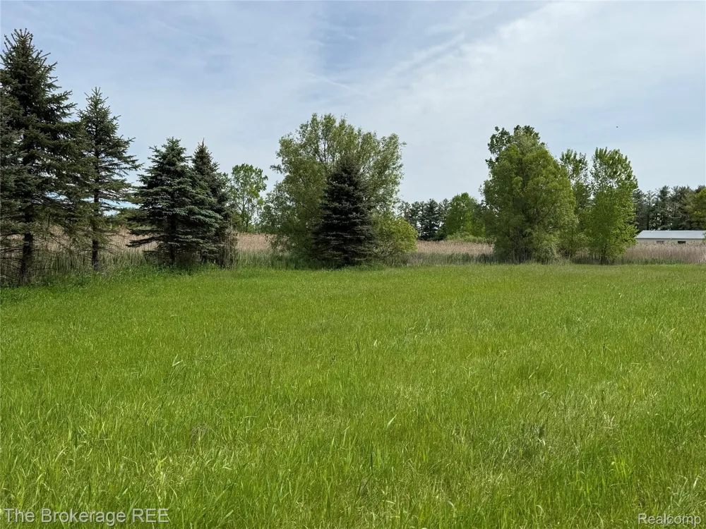 3020 Merwin Road Elba Township, MI 48446