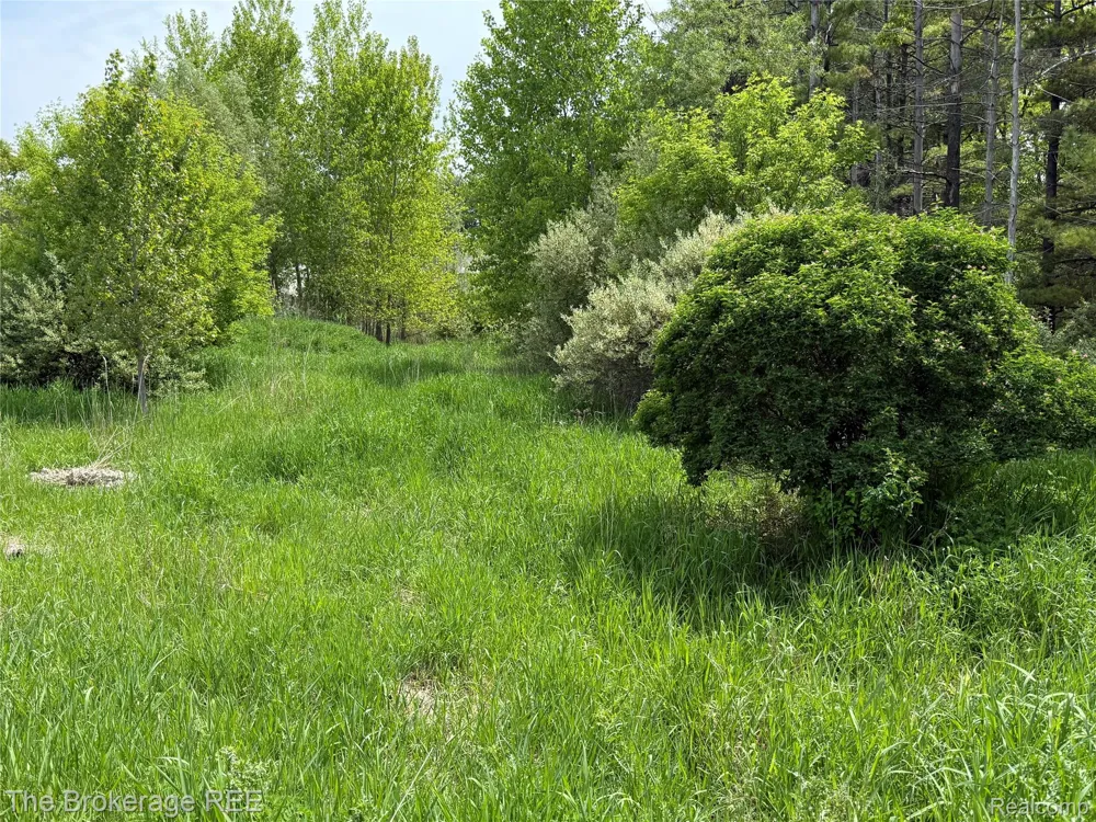 3020 Merwin Road Elba Township, MI 48446