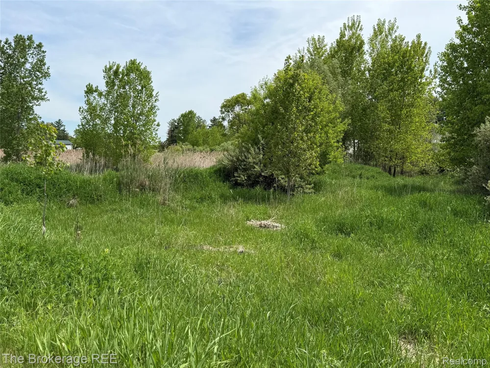 3020 Merwin Road Elba Township, MI 48446
