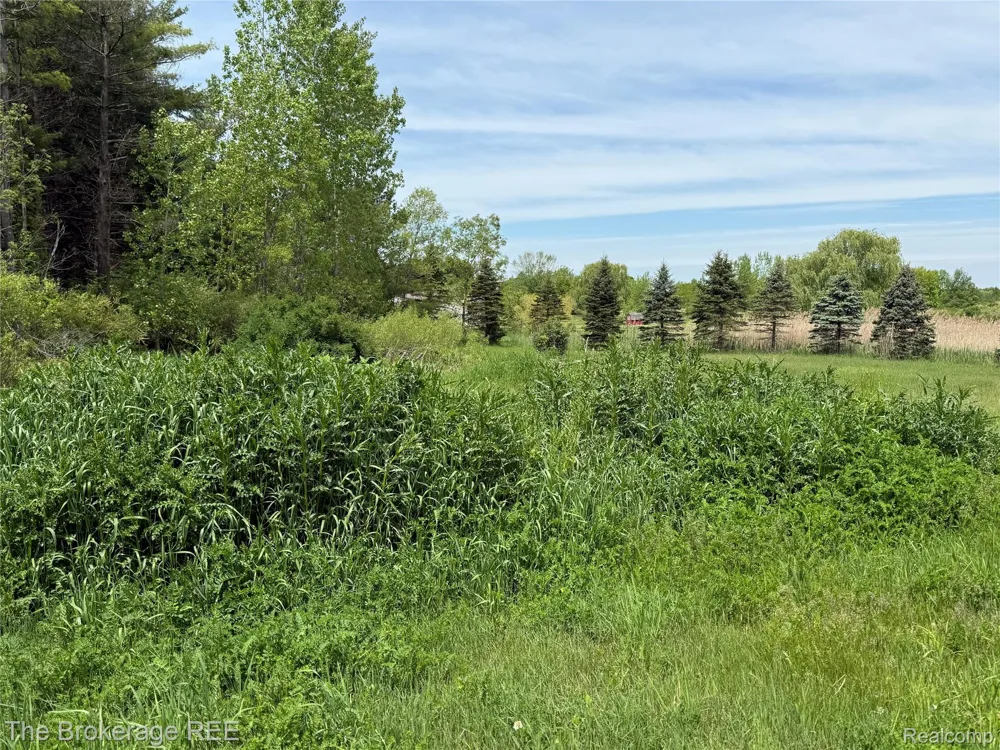 3020 Merwin Road Elba Township, MI 48446