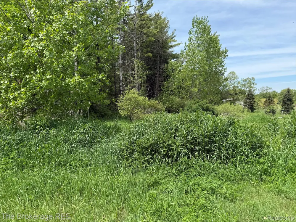 3020 Merwin Road Elba Township, MI 48446
