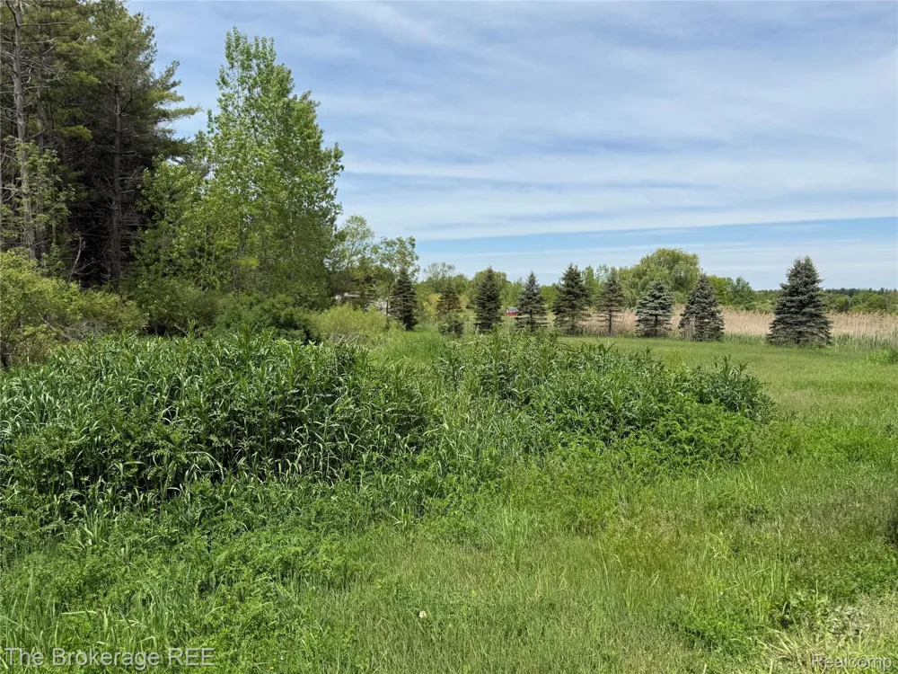 3020 Merwin Road Elba Township, MI 48446
