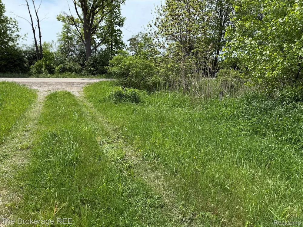 3020 Merwin Road Elba Township, MI 48446