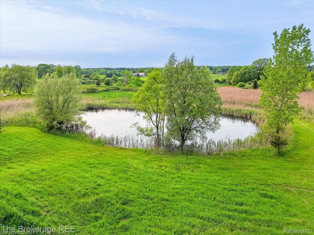 3020 Merwin Road Elba Township, MI 48446