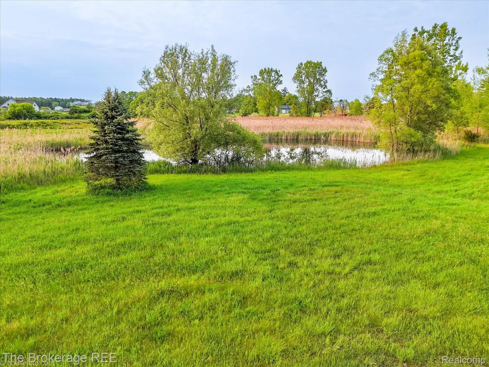 3020 Merwin Road Elba Township, MI 48446