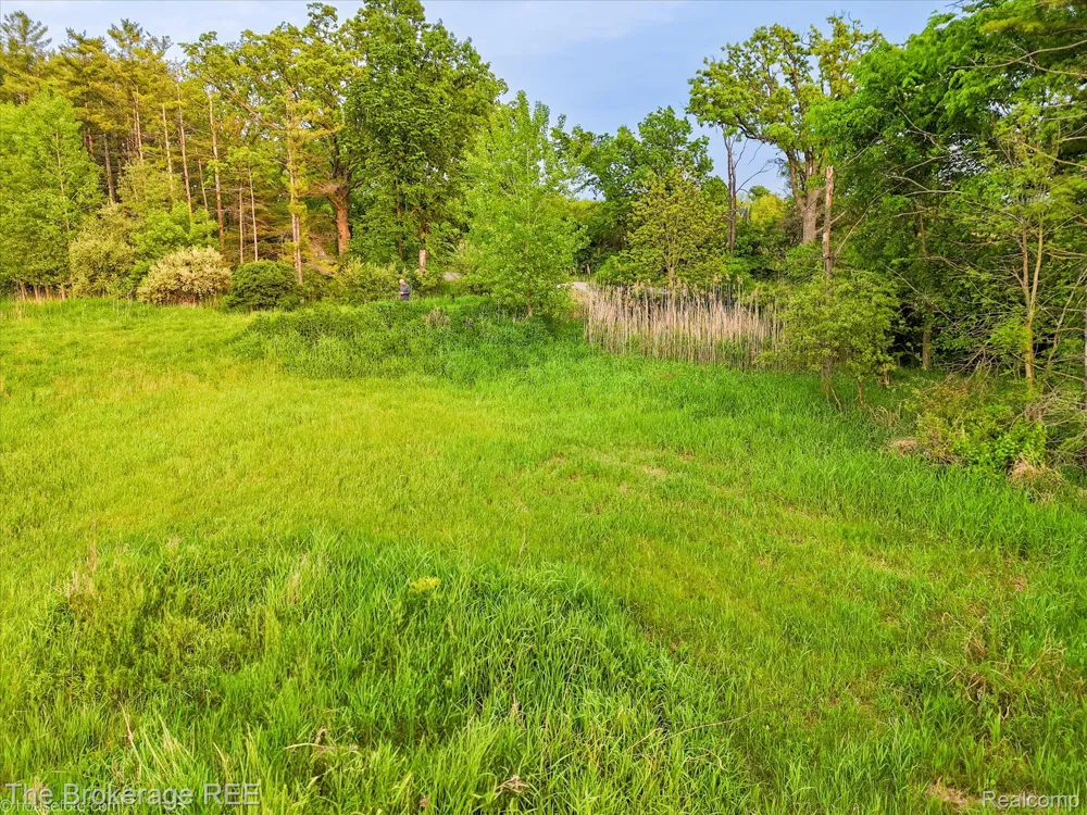 3020 Merwin Road Elba Township, MI 48446