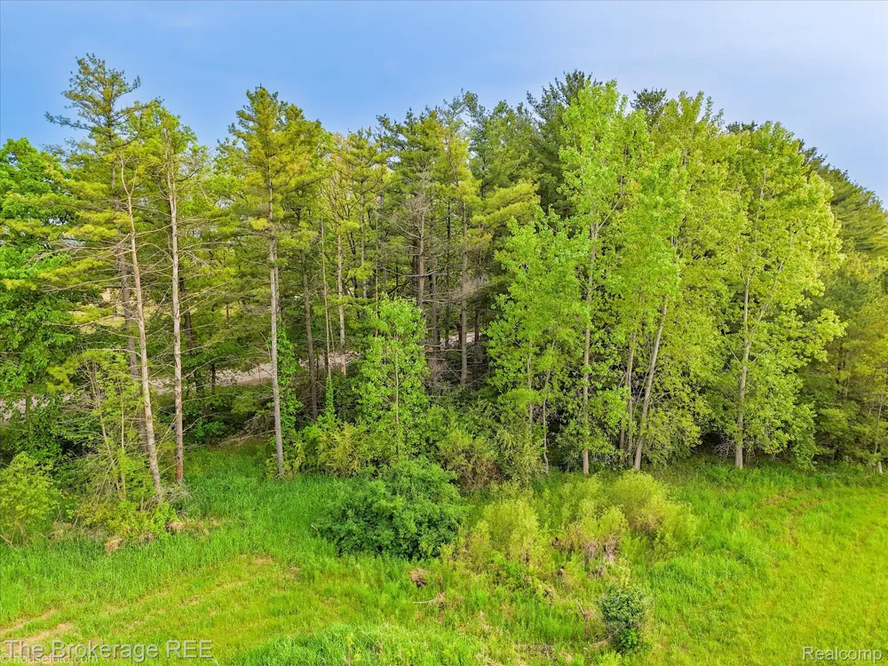 3020 Merwin Road Elba Township, MI 48446