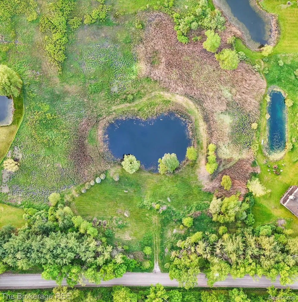 3020 Merwin Road Elba Township, MI 48446