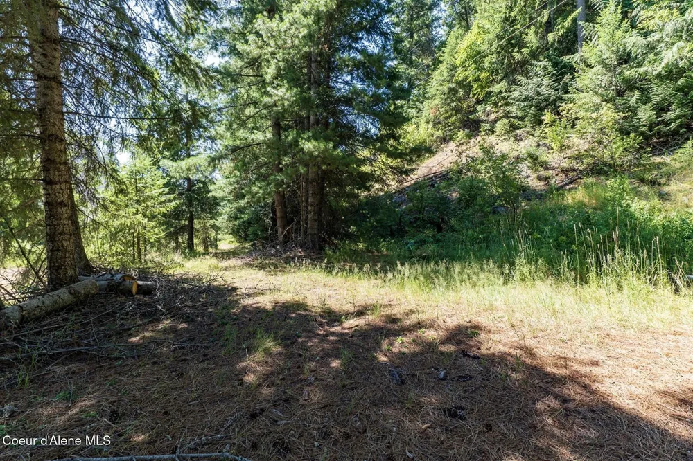 NKA Coeur d'Alene River Road Kingston, ID 83839