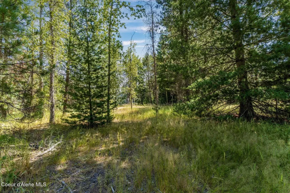 NKA Coeur d'Alene River Road Kingston, ID 83839