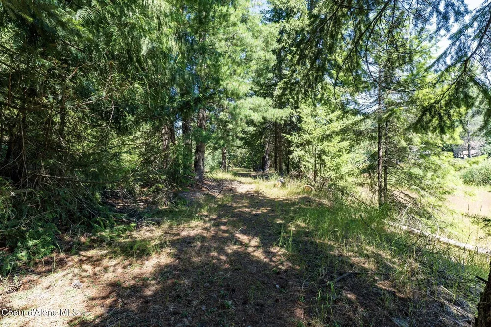 NKA Coeur d'Alene River Road Kingston, ID 83839