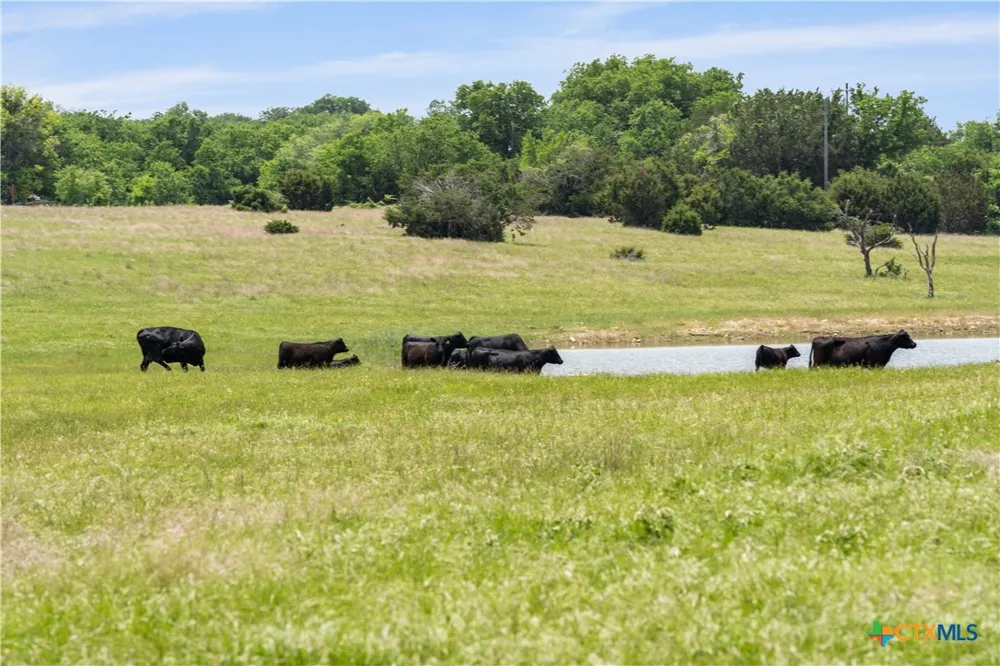 16160 Siler Road Moody, TX 76557