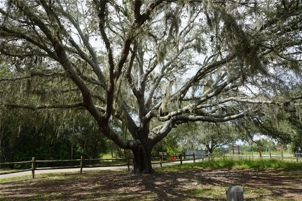 0 74TH AVENUE Pinellas Park, FL 33781