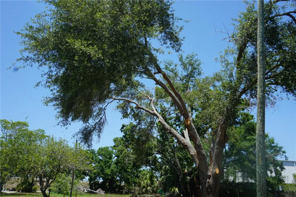 0 74TH AVENUE Pinellas Park, FL 33781