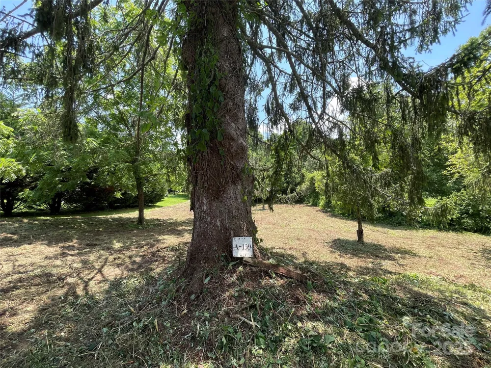 150 Founders Drive #159 Flat Rock, NC 28731