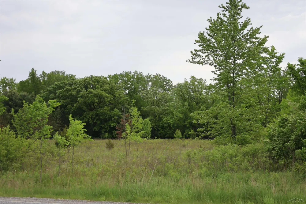 Beyer Road Birch Run Township, MI 48415