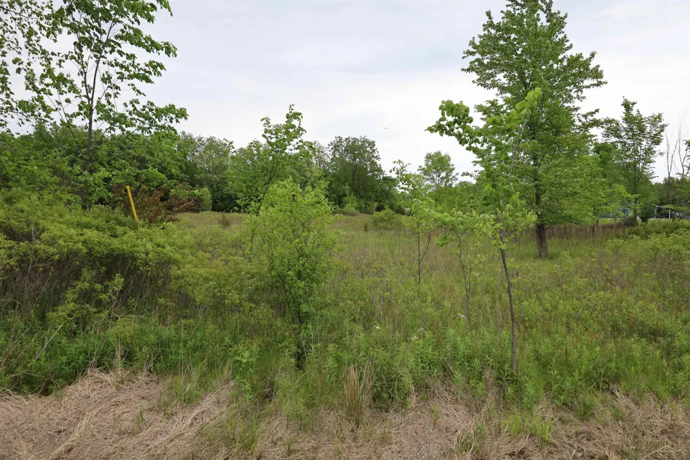 Beyer Road Birch Run Township, MI 48415