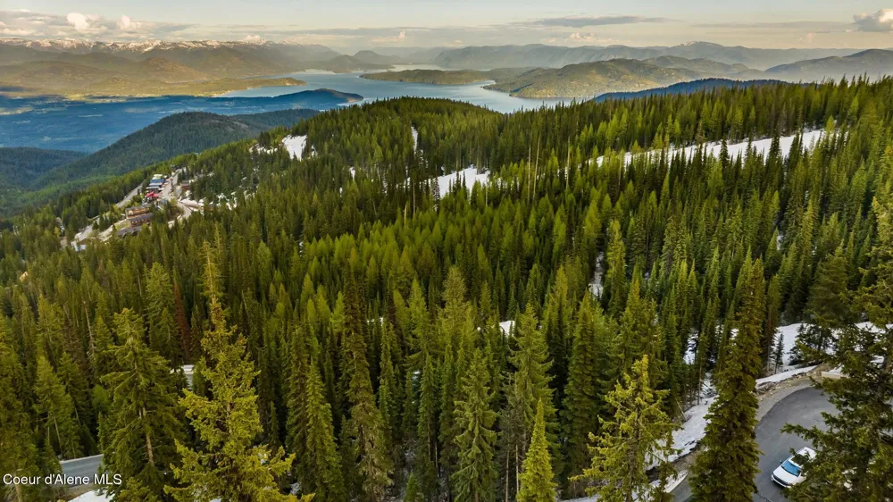 68 Snag Line Lane Sandpoint, ID 83864
