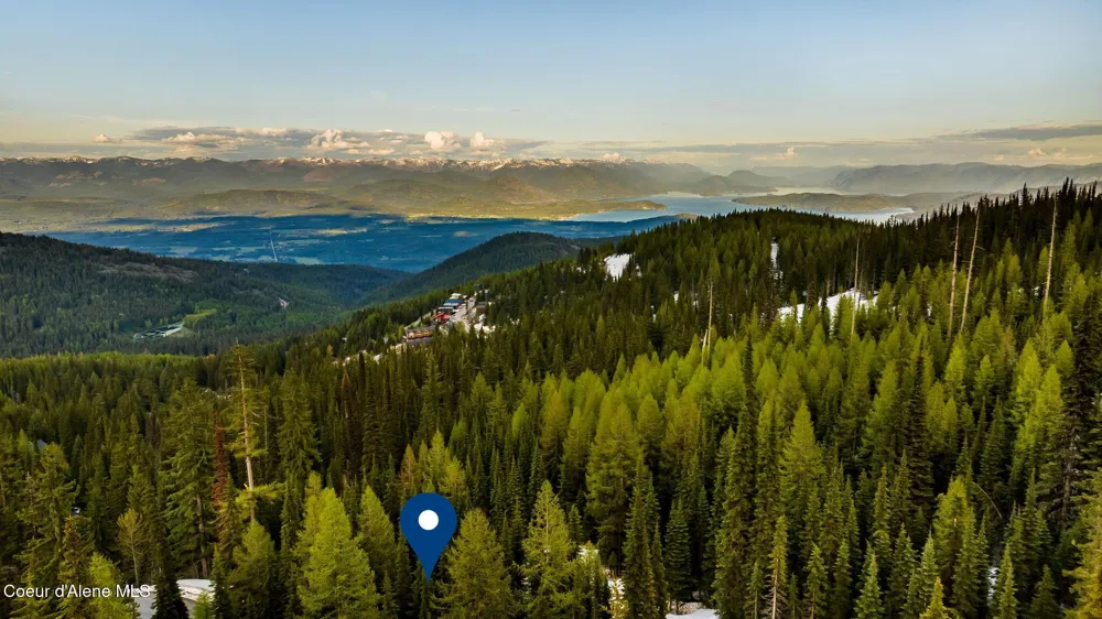 68 Snag Line Lane Sandpoint, ID 83864