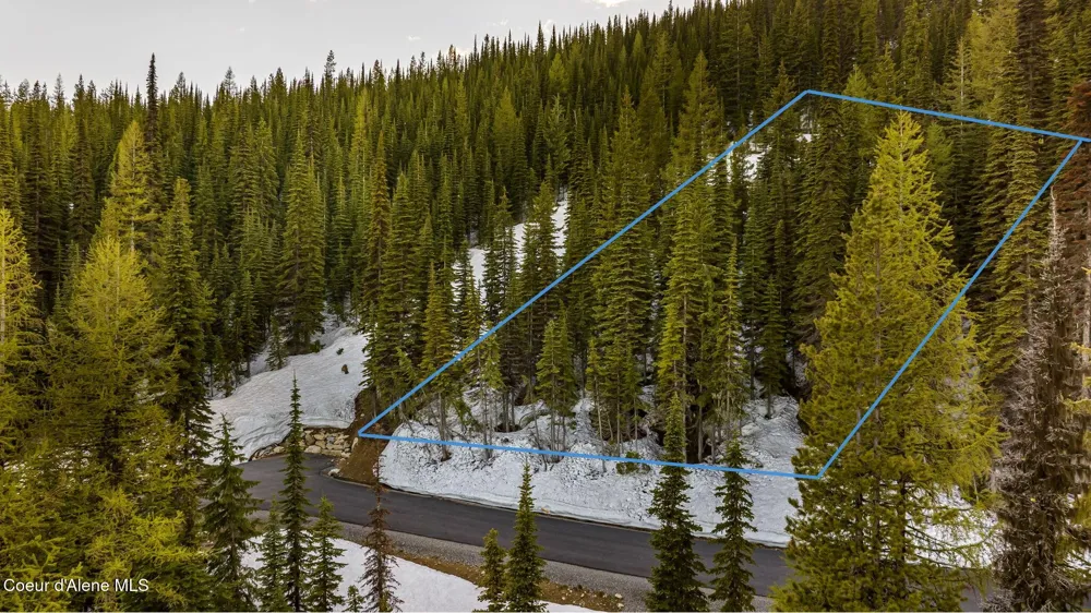 68 Snag Line Lane Sandpoint, ID 83864