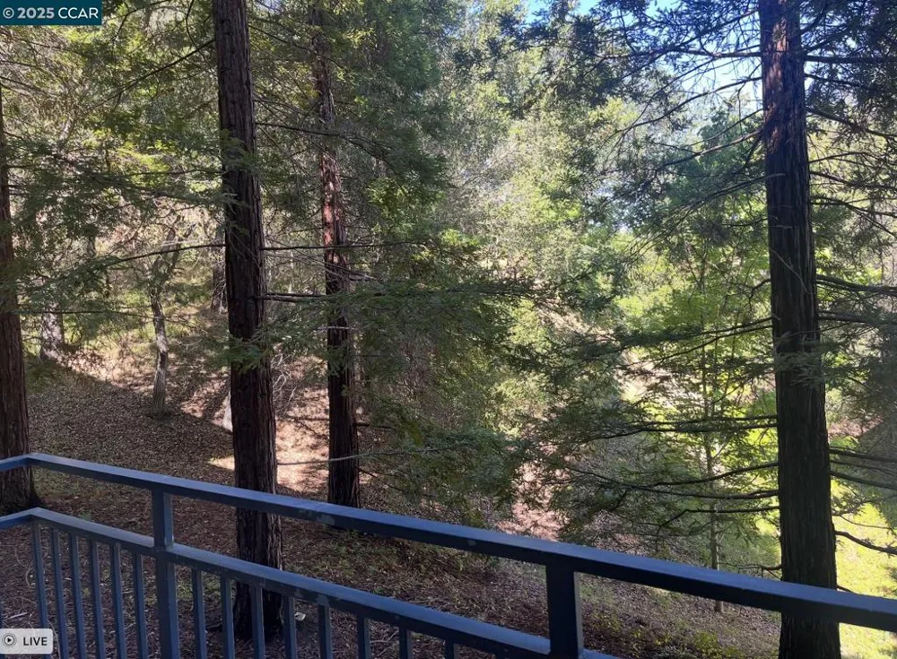 5920 Horsemans Canyon #3 Walnut Creek, CA 94595
