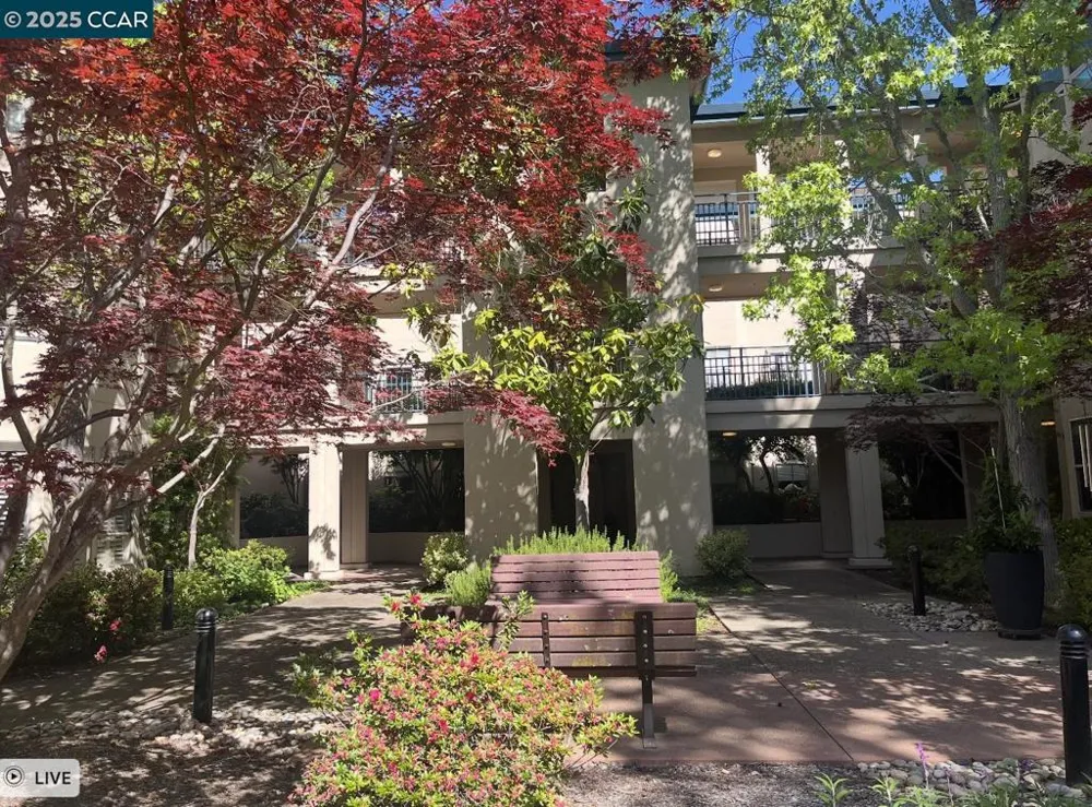 5920 Horsemans Canyon #3 Walnut Creek, CA 94595