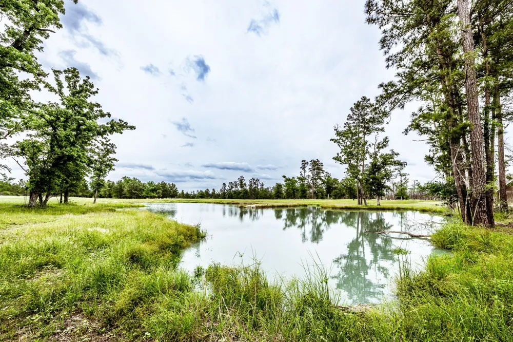 1916 Fm-247 Huntsville, TX 77320