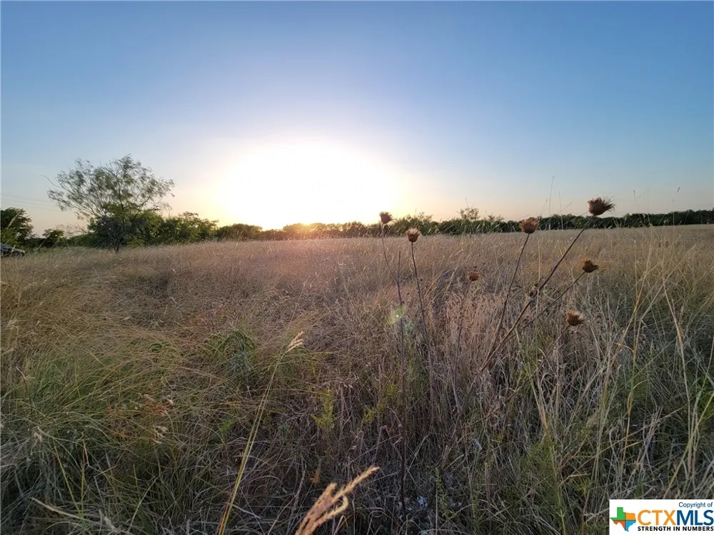 Neal Road Troy, TX 76579