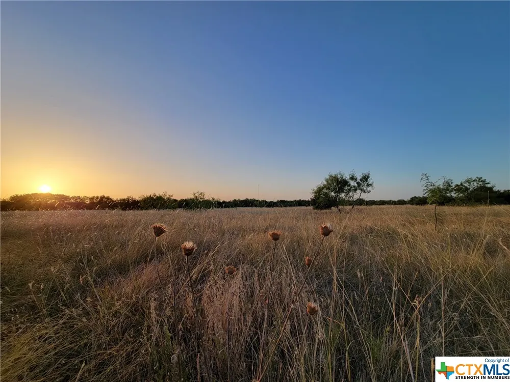 Neal Road Troy, TX 76579