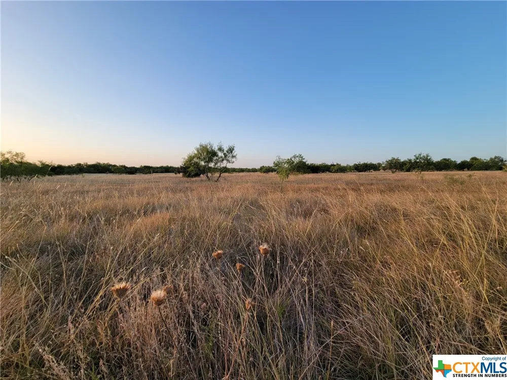 Neal Road Troy, TX 76579