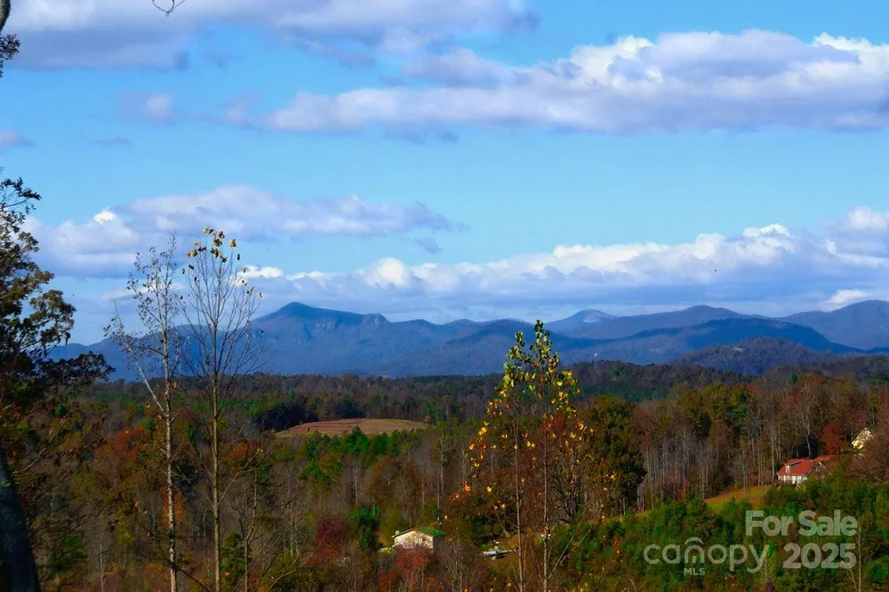 488 Moonlight Pass Union Mills, NC 28167