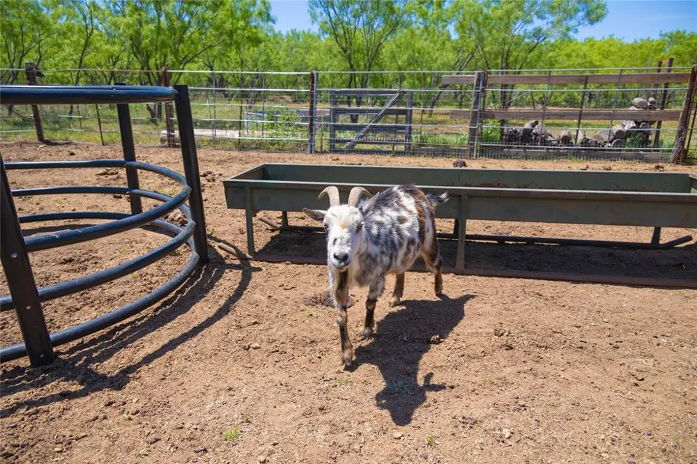 15905 C. R.  211 Brookesmith, TX 76827