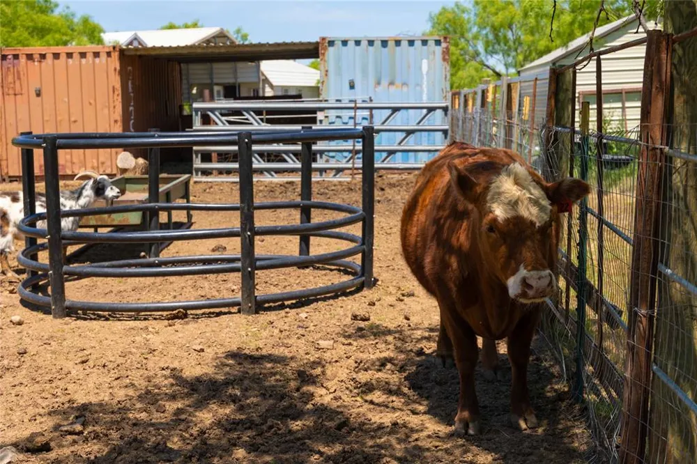15905 C. R.  211 Brookesmith, TX 76827