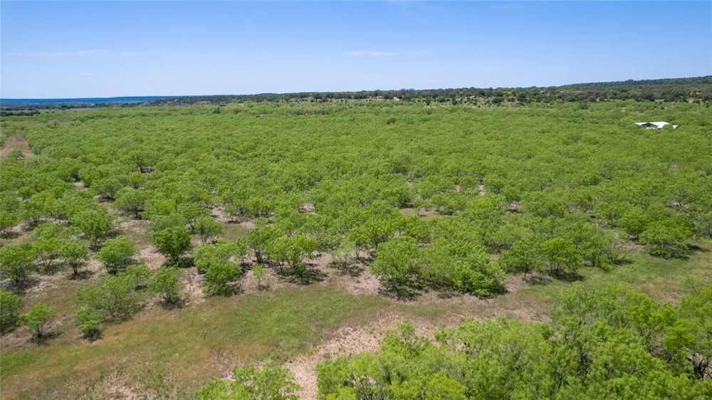 15905 C. R.  211 Brookesmith, TX 76827