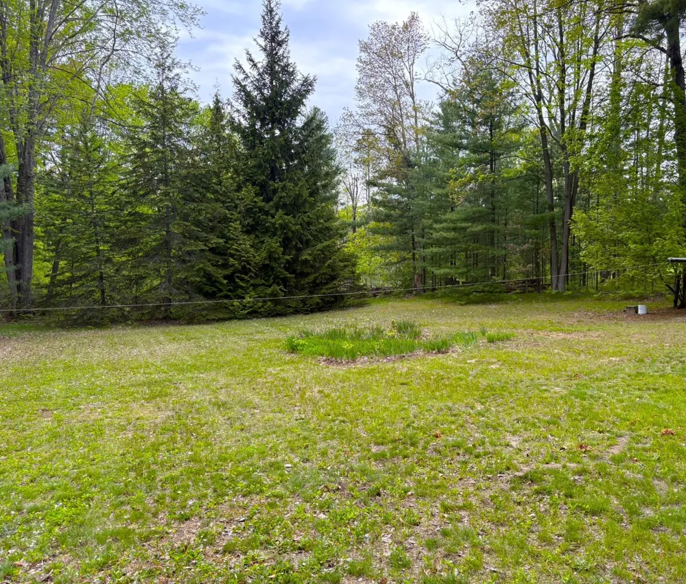 8921 US-31 Green Lake Township, MI 49637