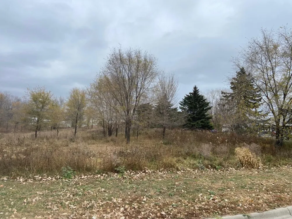 TBD 65th Street E Inver Grove Heights, MN 55076