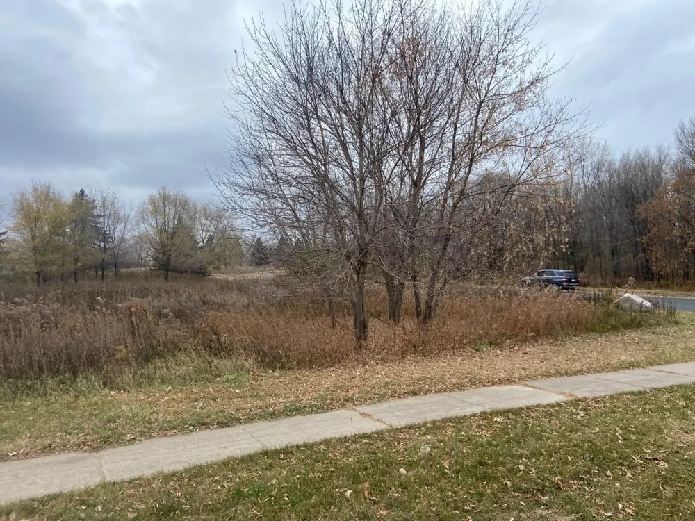 TBD 65th Street E Inver Grove Heights, MN 55076